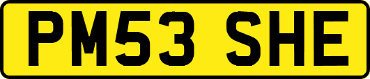 PM53SHE