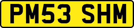 PM53SHM