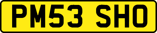 PM53SHO