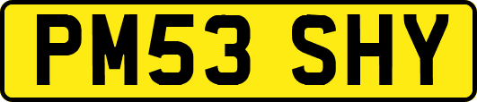 PM53SHY