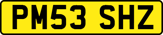 PM53SHZ