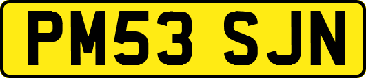 PM53SJN