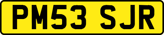 PM53SJR