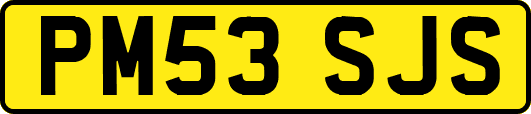 PM53SJS