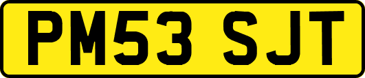PM53SJT