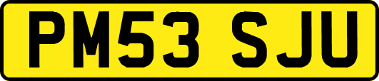 PM53SJU