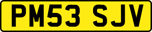PM53SJV