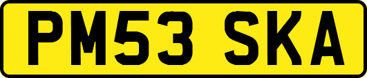 PM53SKA