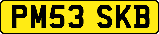 PM53SKB