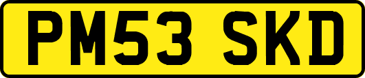 PM53SKD