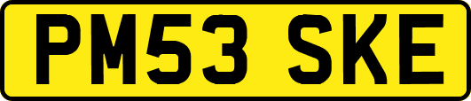 PM53SKE