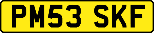 PM53SKF