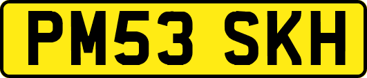 PM53SKH