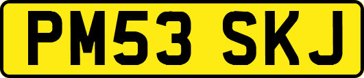 PM53SKJ