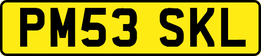 PM53SKL