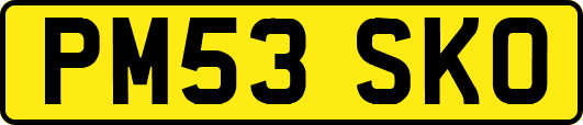 PM53SKO