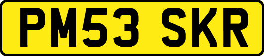 PM53SKR
