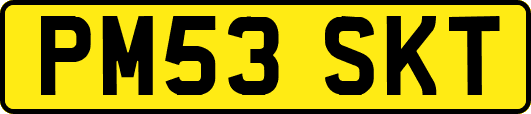 PM53SKT