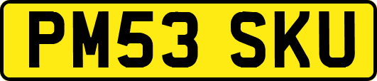 PM53SKU