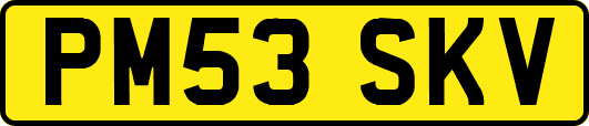 PM53SKV