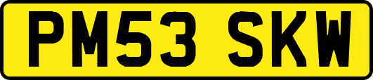 PM53SKW