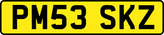 PM53SKZ