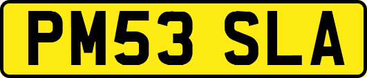PM53SLA