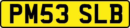 PM53SLB