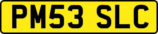 PM53SLC