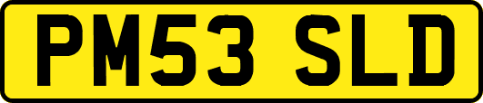 PM53SLD