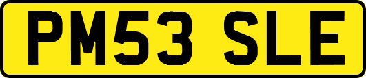 PM53SLE