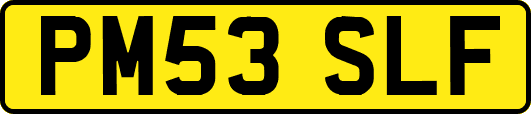 PM53SLF