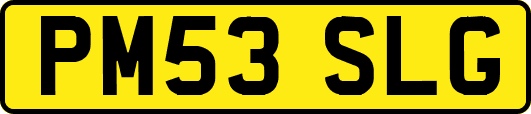 PM53SLG