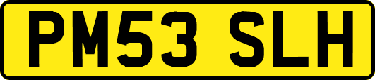 PM53SLH