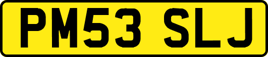 PM53SLJ