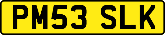 PM53SLK
