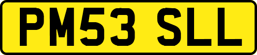 PM53SLL