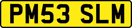 PM53SLM