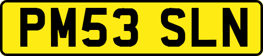 PM53SLN