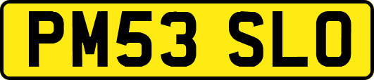 PM53SLO
