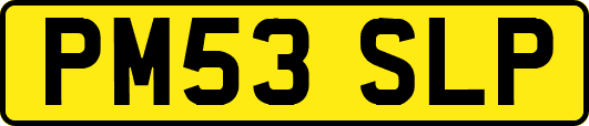 PM53SLP
