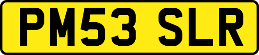 PM53SLR