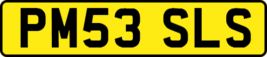 PM53SLS