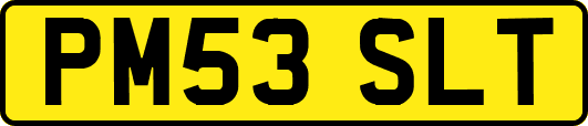 PM53SLT