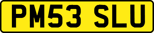 PM53SLU