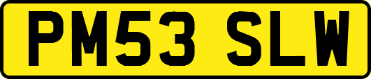 PM53SLW
