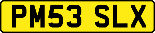 PM53SLX