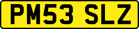 PM53SLZ