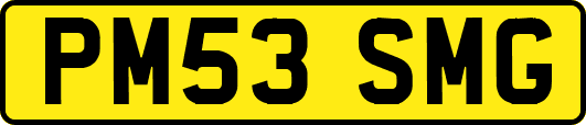 PM53SMG