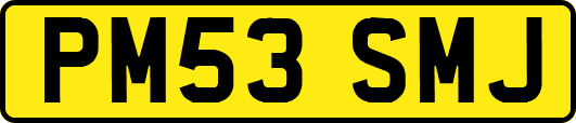 PM53SMJ